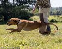 20210724-jhl-2452