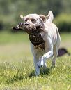 20210724-jhl-3043