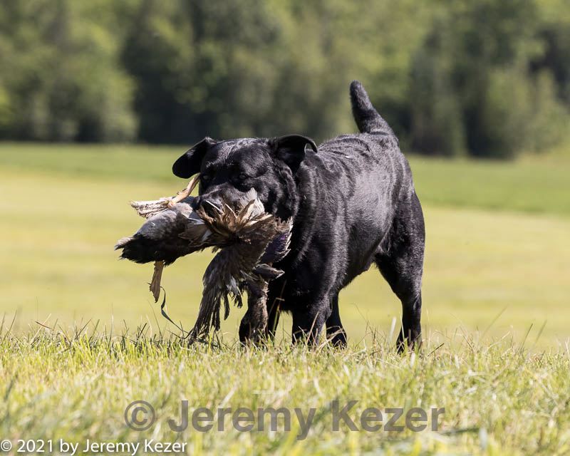 20210724-jhl-1628.jpg