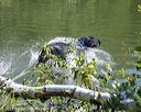 20210724-jhw-0579