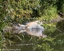 20210724-jhw-0618