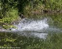 20210724-jhw-0625