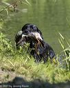 20210724-jhw-1426