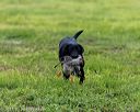 20210725-shl-0161