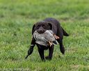 20210725-shl-0347
