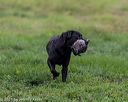 20210725-shl-0431