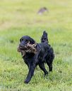 20210725-shl-0567
