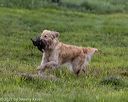 20210725-shl-0702