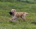 20210725-shl-0703