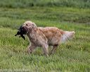 20210725-shl-0724