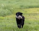 20210725-shl-1129