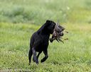 20210725-shl-1159