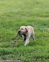 20210725-shl-1346