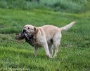 20210725-shl-1349