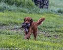 20210725-shl-1479