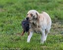 20210725-shl-1547