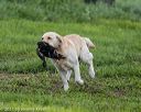 20210725-shl-1550