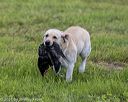 20210725-shl-1566