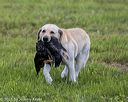 20210725-shl-1568