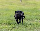 20210725-shl-1627