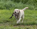 20210725-shl-1673