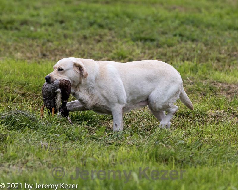 20210725-shl-0896.jpg