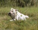 20210807-shl-0932