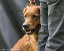 20210808-jhl-0081
