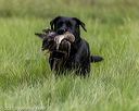 20210808-jhl-0455