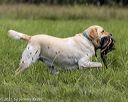 20210808-jhl-2043