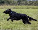 20210808-jhl-2635