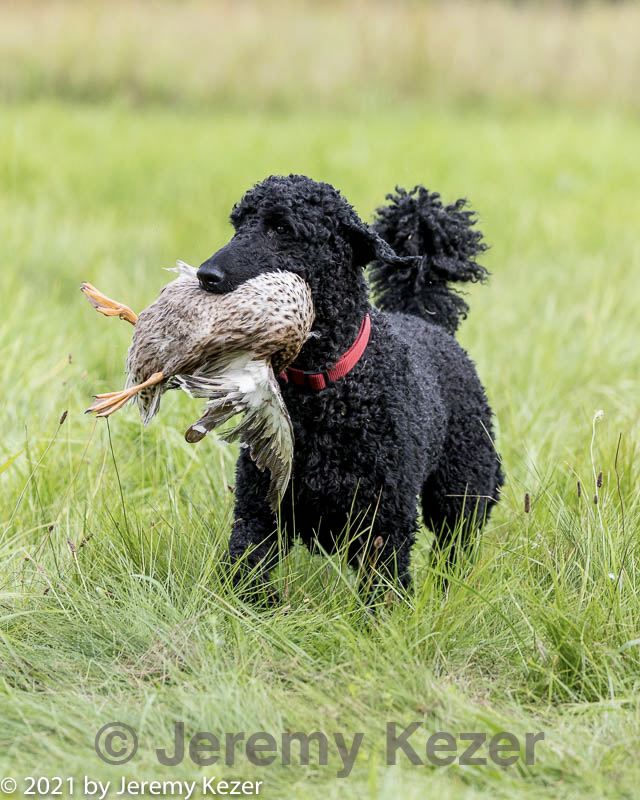 20210808-jhl-1678.jpg