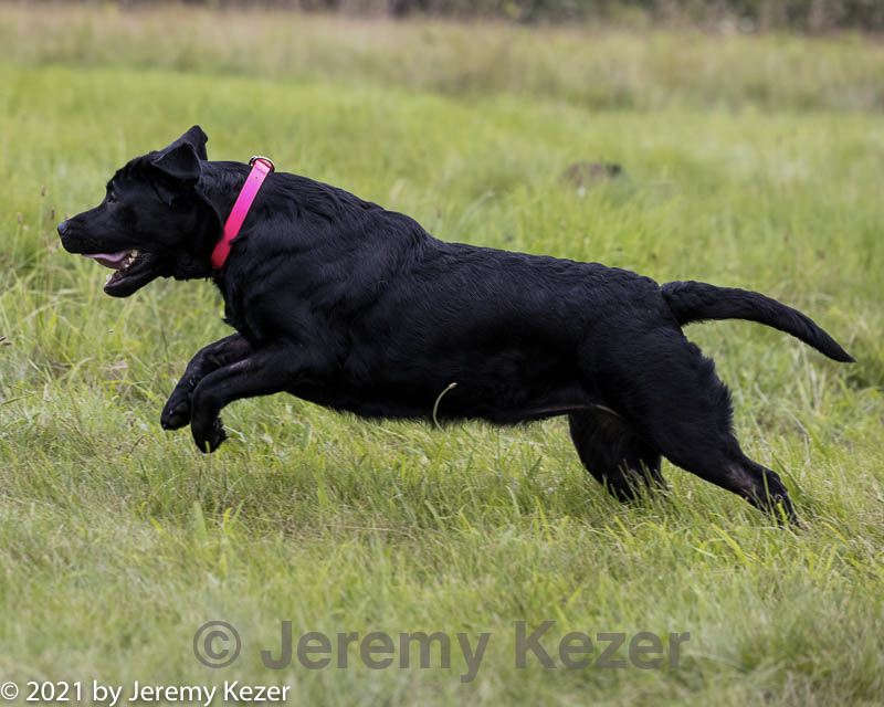 20210808-jhl-2427.jpg