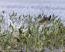 20210808-jhw-0039