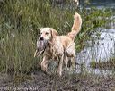 20210808-jhw-1040