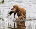 20210808-jhw-1333