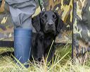 20211009-wcl-0088
