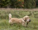 20211009-wcl-0240