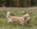 20211009-wcl-0243