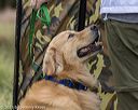 20211009-wcl-0409