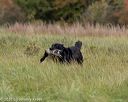 20211009-wcxl-0091