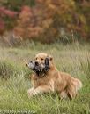 20211009-wcxl-0350