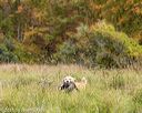 20211009-wcxl-0395