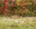 20211009-wcxl-0398