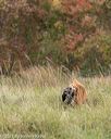 20211009-wcxl-0546