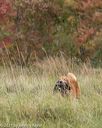 20211009-wcxl-0554