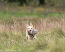 20211009-wcxl-0734