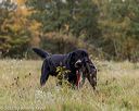 20211010-wcl-0253