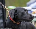 20211010-wcl-0670