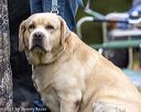 20211010-wcl-1091